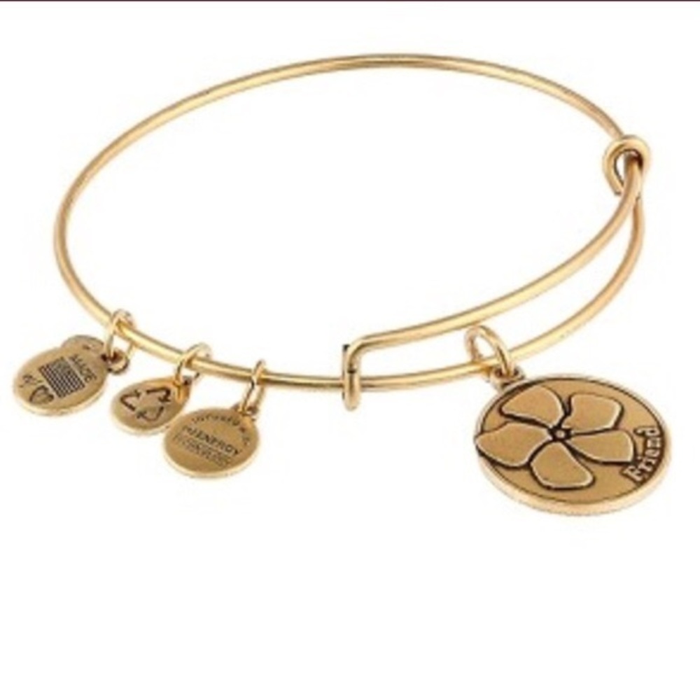 Alex and Ani Gold Friend Bracelet